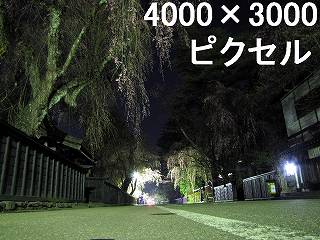 80