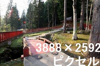 32