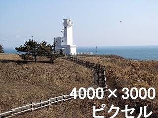 55