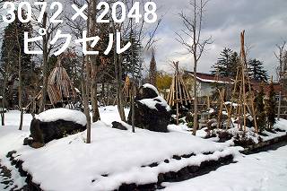 75