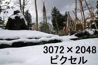 77