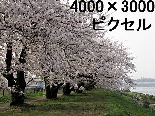 60