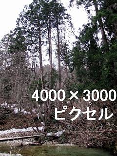 60
