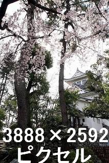 29