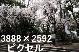 30