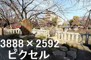 29