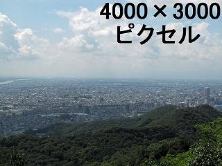 49