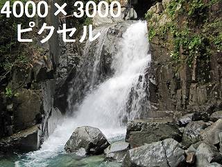 65