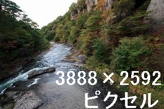 43