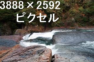 46