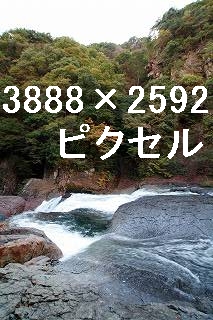 49