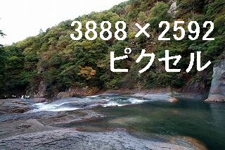 51