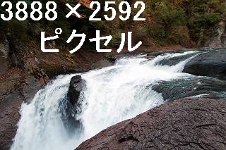 66