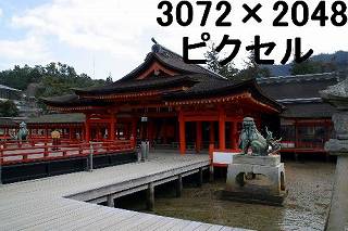 65