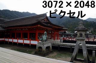77