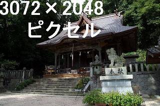 27