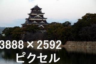 26