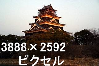 29