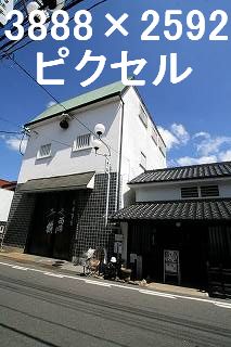 81