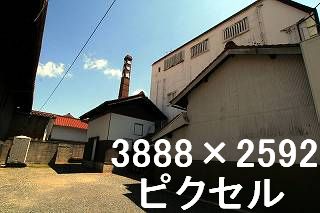 82
