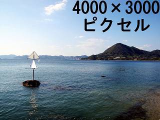 40