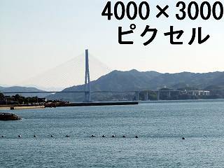 46