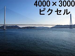 51