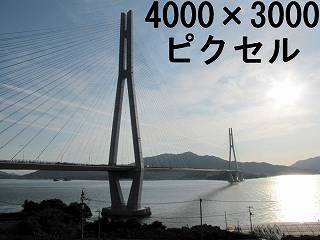 56