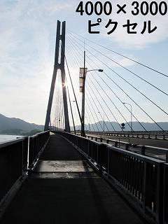 65