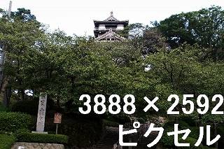 37