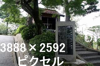 46