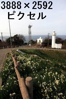 40