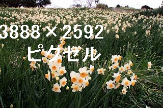 39