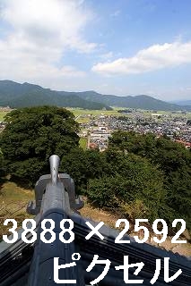 24