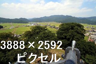 26