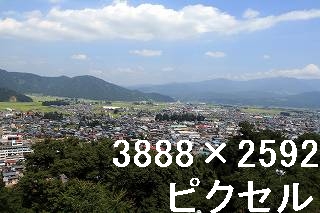 28