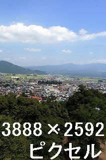 29