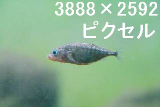 47