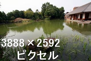 34
