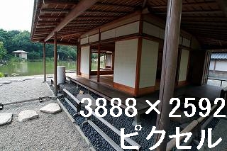 44