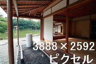 46