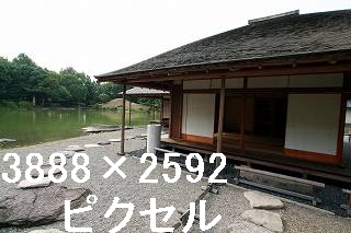 47