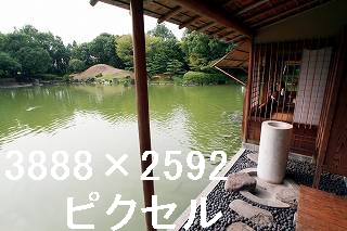 51