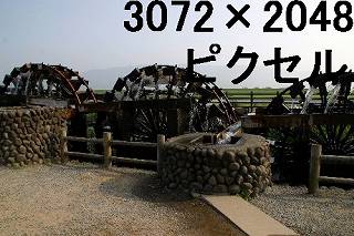54