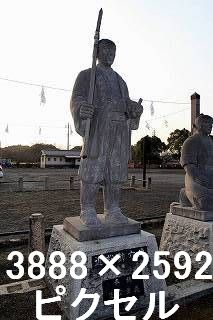 24