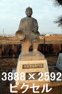 29