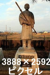 31