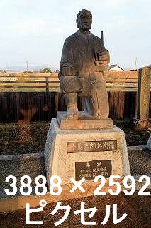 41