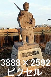 43