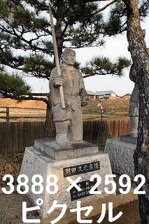 49